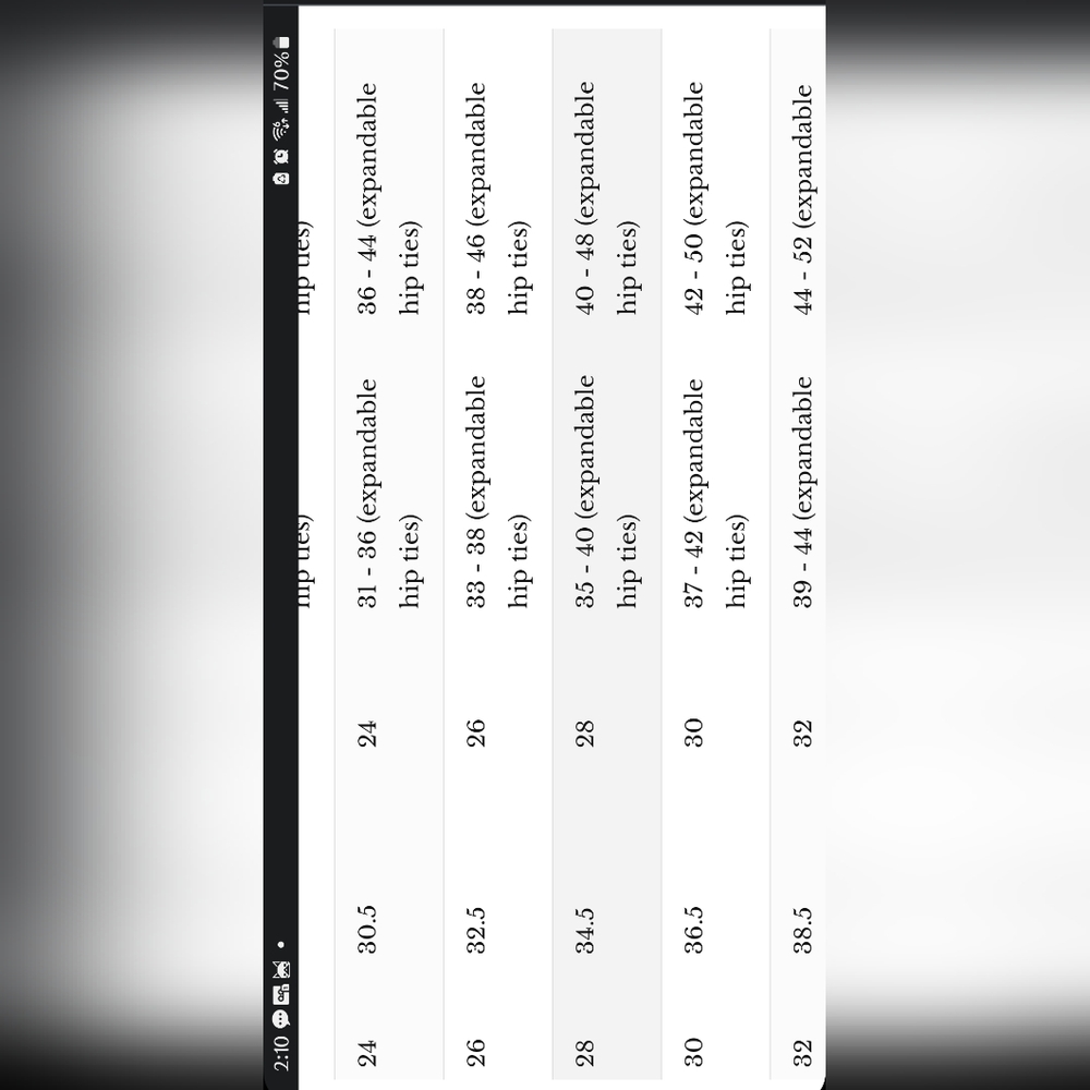 Timeless Trends Rainbow Longline Hourglass Corset 28" - Picture 4 of 5